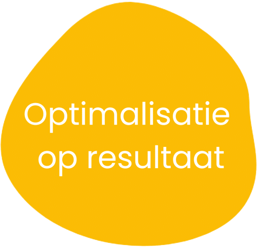 Google specialist - optimalisatie op resultaat